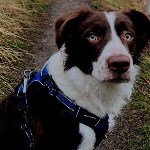 Meet your Posher, Tasha